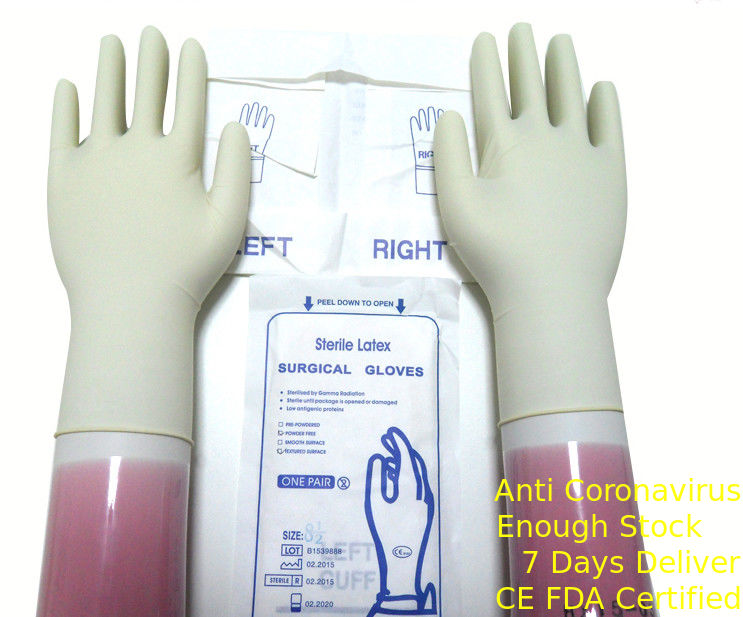 دستکش های جراحی استریل لاتکس با رنگ سفید طبیعی که با یک حاشیه نورد یکبار مصرف می شوند تامین کننده